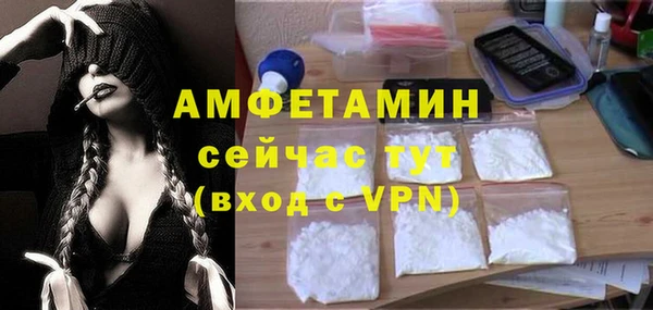 индика Ступино