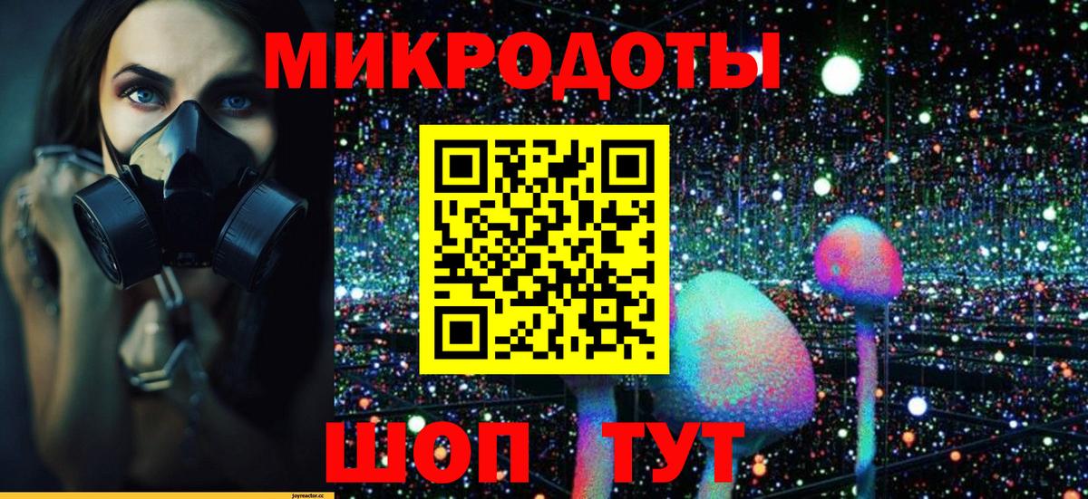 Снежинск  Псилоцибиновые грибы прущие грибы  Вход с VPN  Псилоцибиновые грибы мицелий 